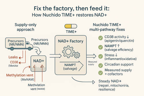 nuchido fixes the nad factory